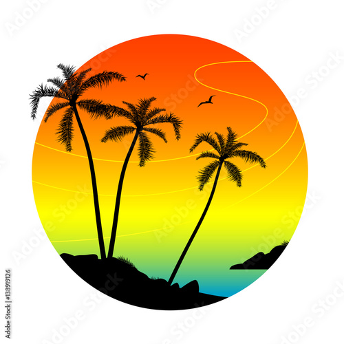 Palm silhouettes illustration