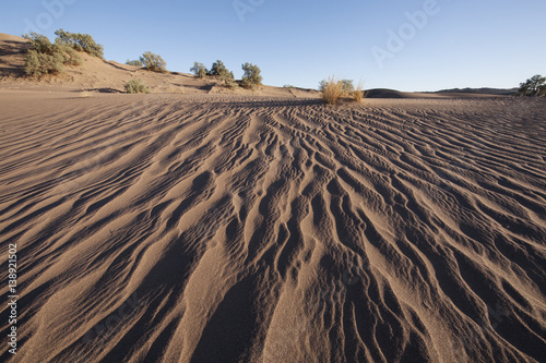 paesaggio desertico photo