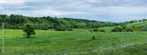 Fototapeta Naklejka Na Ścianę i Meble -  Green valley with a ravine