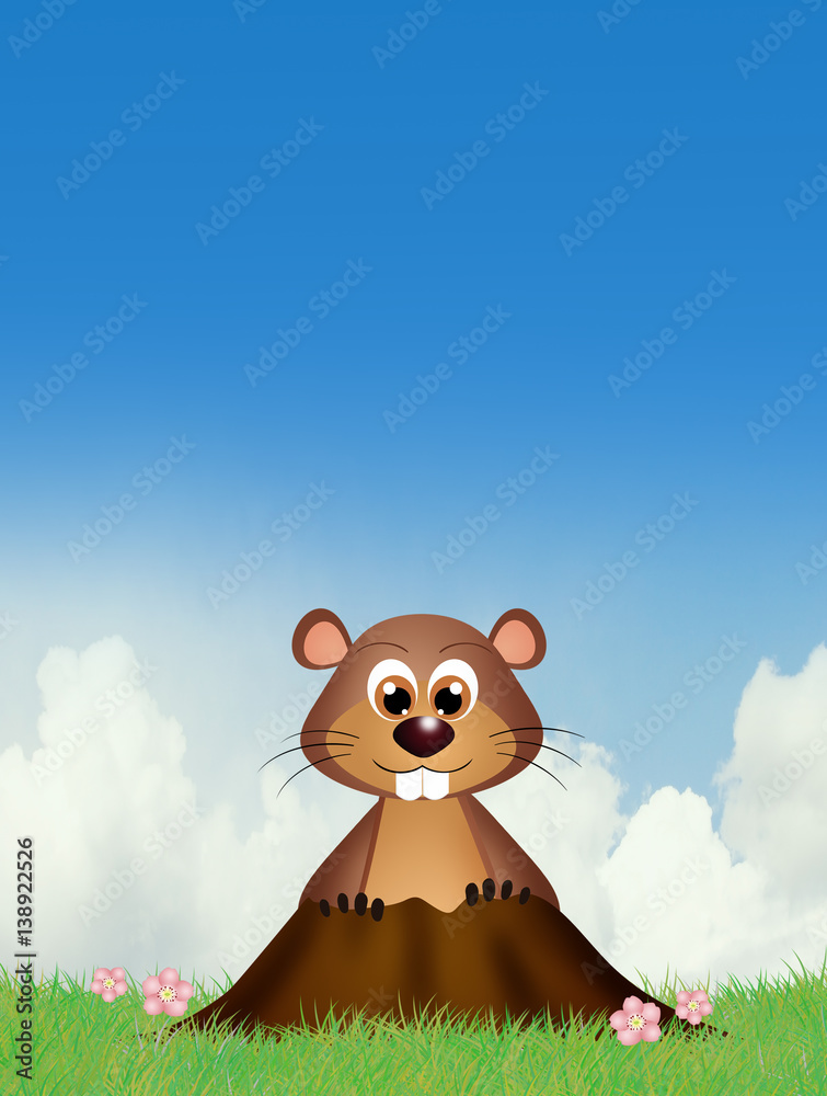 Groundhog in the den Groundhog in the den