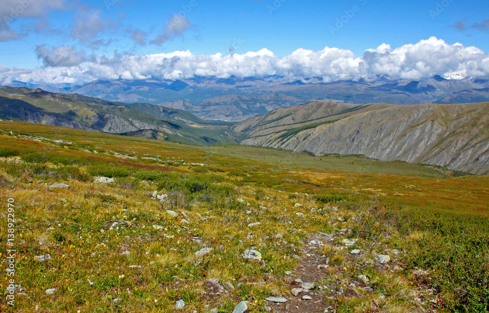 Beautiful summer landscape,Mountain creek, Russia, Siberia, Altai mountains, Ukok plateau