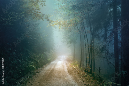 Magic autumn color foggy forest road. Scary dark blue green colored countryside woodland.