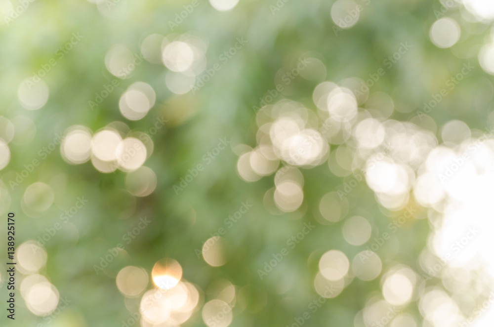 real bokeh from nature for background real bokeh from nature for background