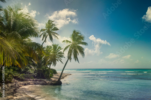 Beach with coconut palm, uninhabited tropical island