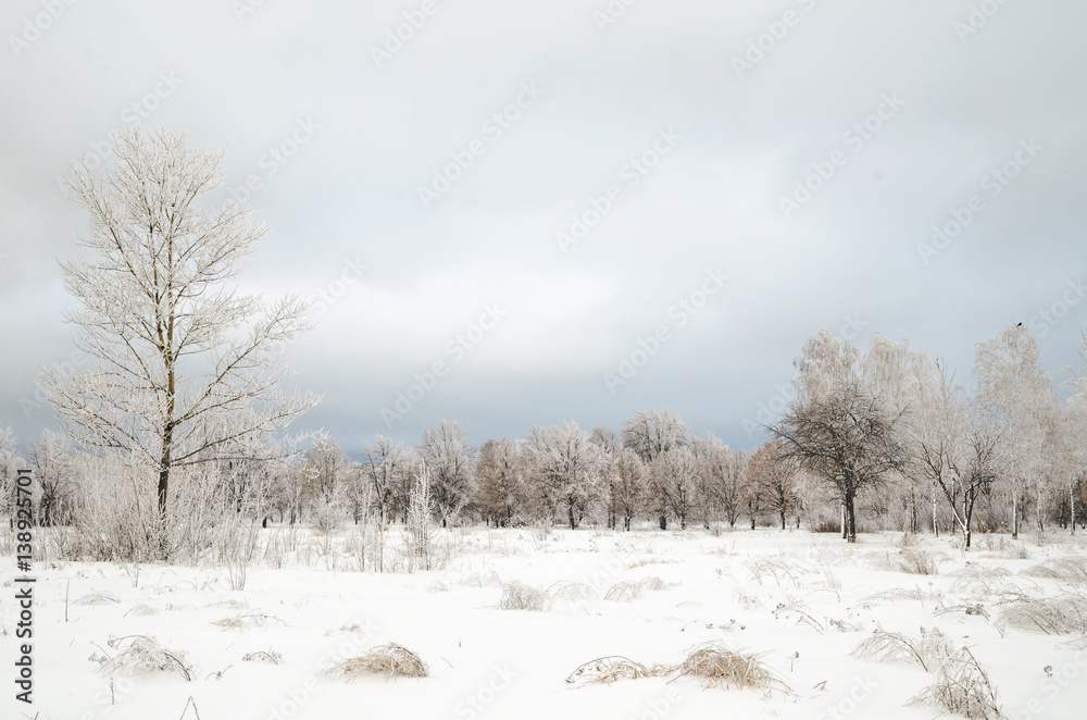 winter landscape winter landscape