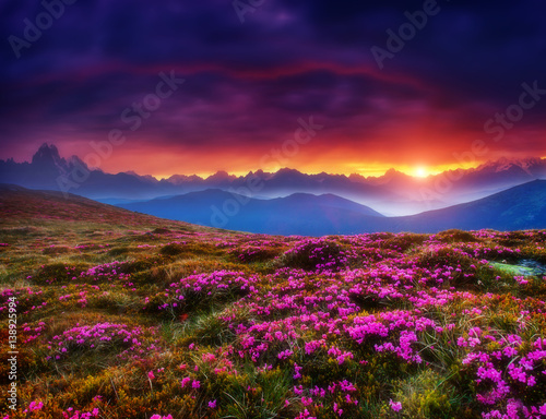 Majestic summer landscape