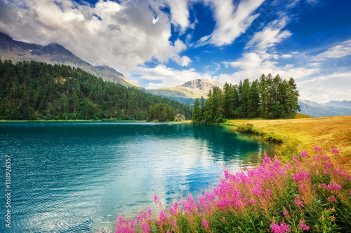 Fantastic summer scene