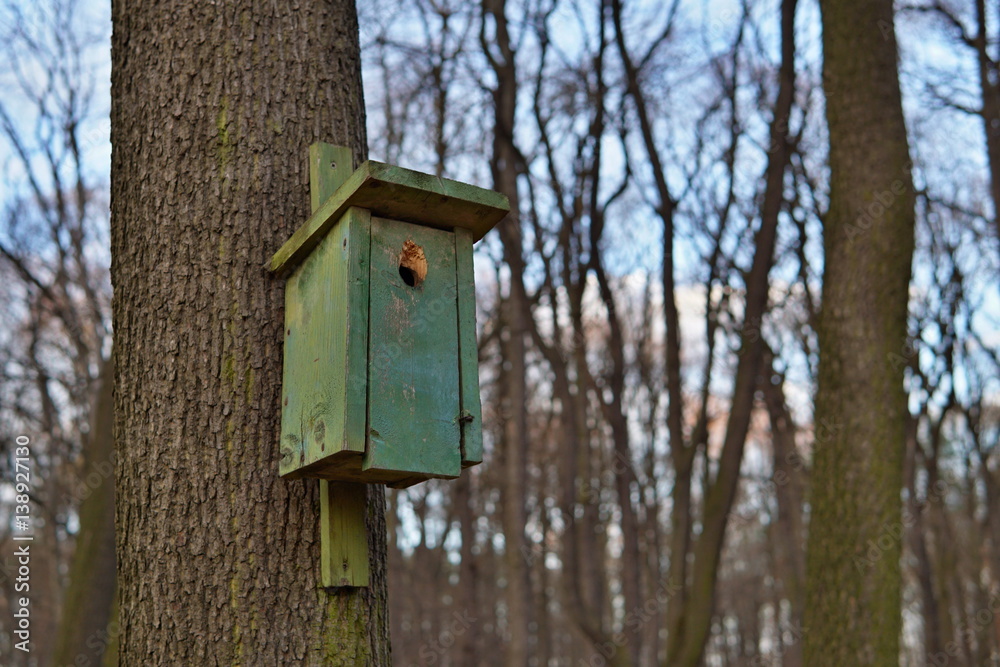 Green bird booth (bird house) hanging on a tree as a symbol of animal feeding and species protection of animals during the winter and cold periods