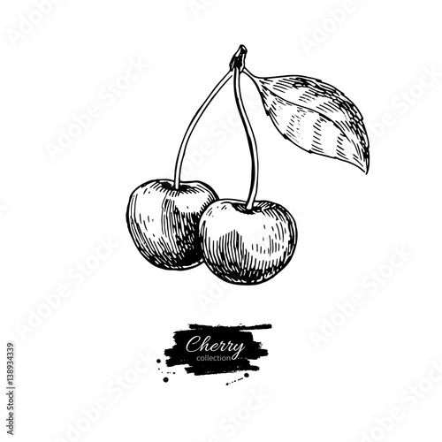 Cherry vector drawing. Isolated hand drawn two berries on white 