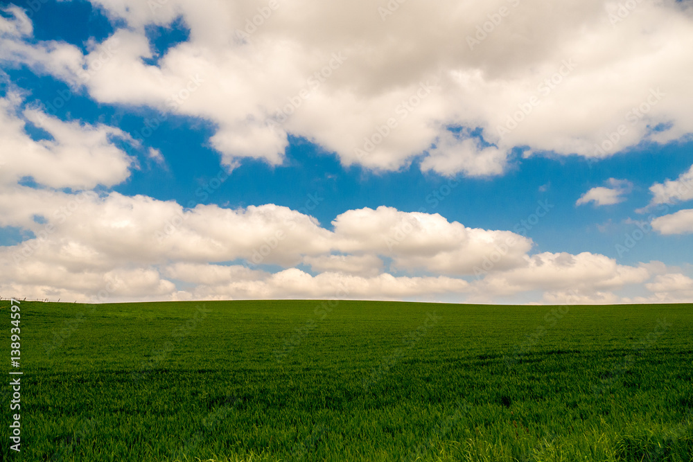 green meadow with white clouds on blue sky green meadow with white clouds on blue sky