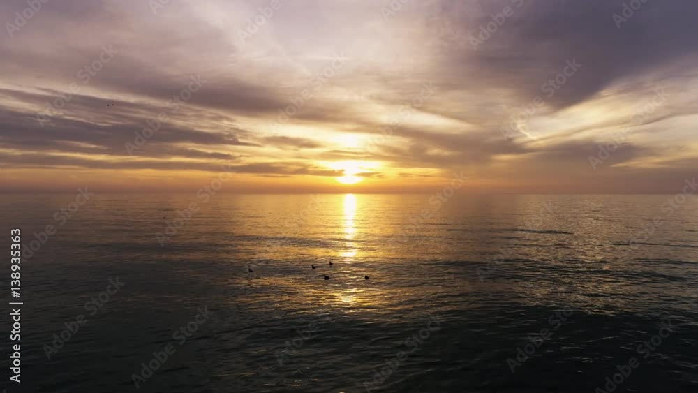 Beautiful sea sunrise. Small birds in the water, aerial video. Beautiful sea sunrise. Small birds in the water, aerial video.