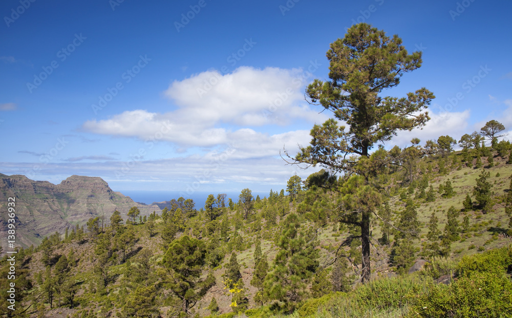West Gran Canaria in February West Gran Canaria in February