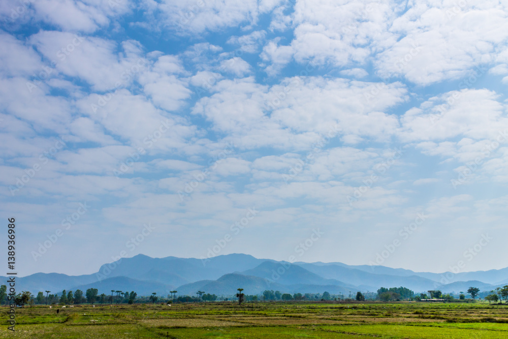 Thai agriculture