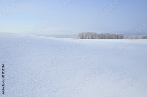Foto 雪原