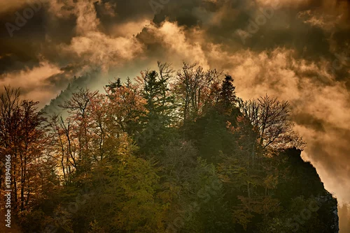 Obraz Pieniny, szczyt górski we mgle,