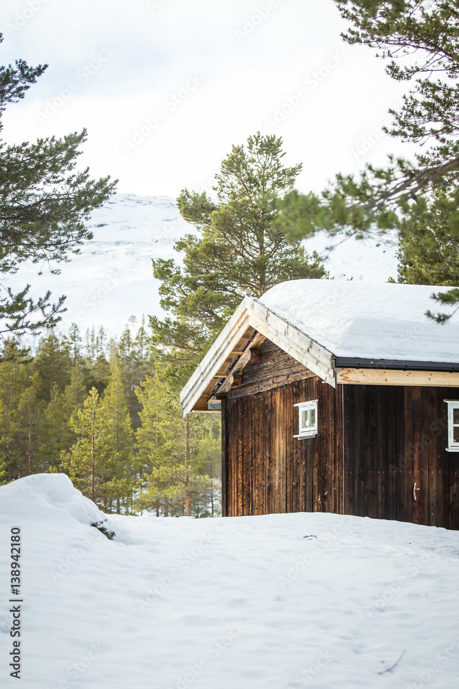 A beautiful wooden house in woods in Norway