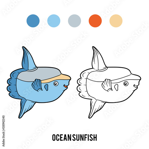 Coloring book, Ocean sunfish
