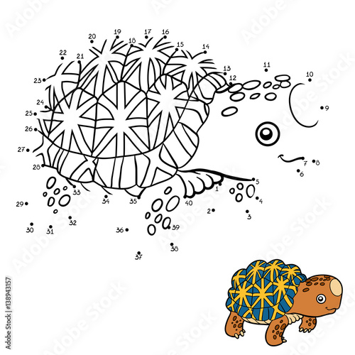 Numbers game, Indian star tortoise