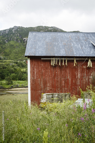 House in Tangstad, VestvŒg¿y commune, Lofoten Islands, Norway. photo