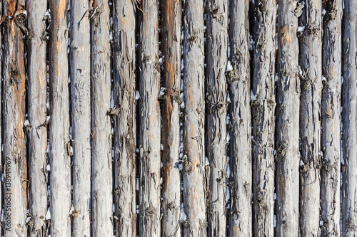 Background of wood. Wooden poles for design.