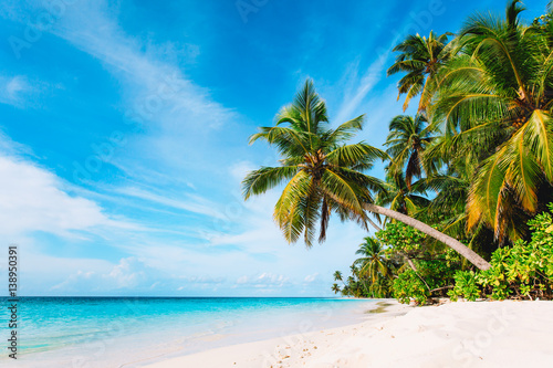 tropical sand beach photo