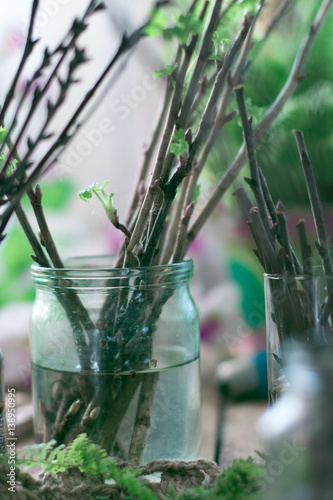 plant branches in a glass jar
