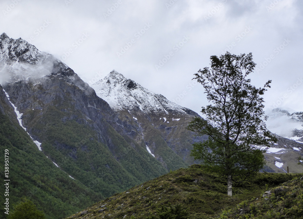 Jagged snowcapped mountain peaks