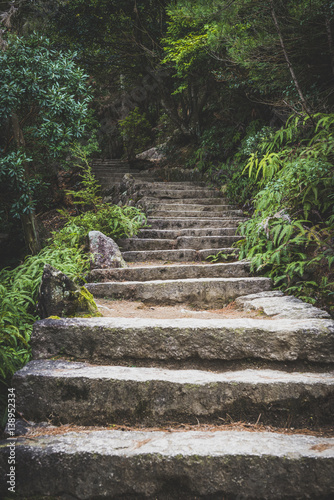 Japan, Miyajima, Stairs at the ascent to Mount Misen photo