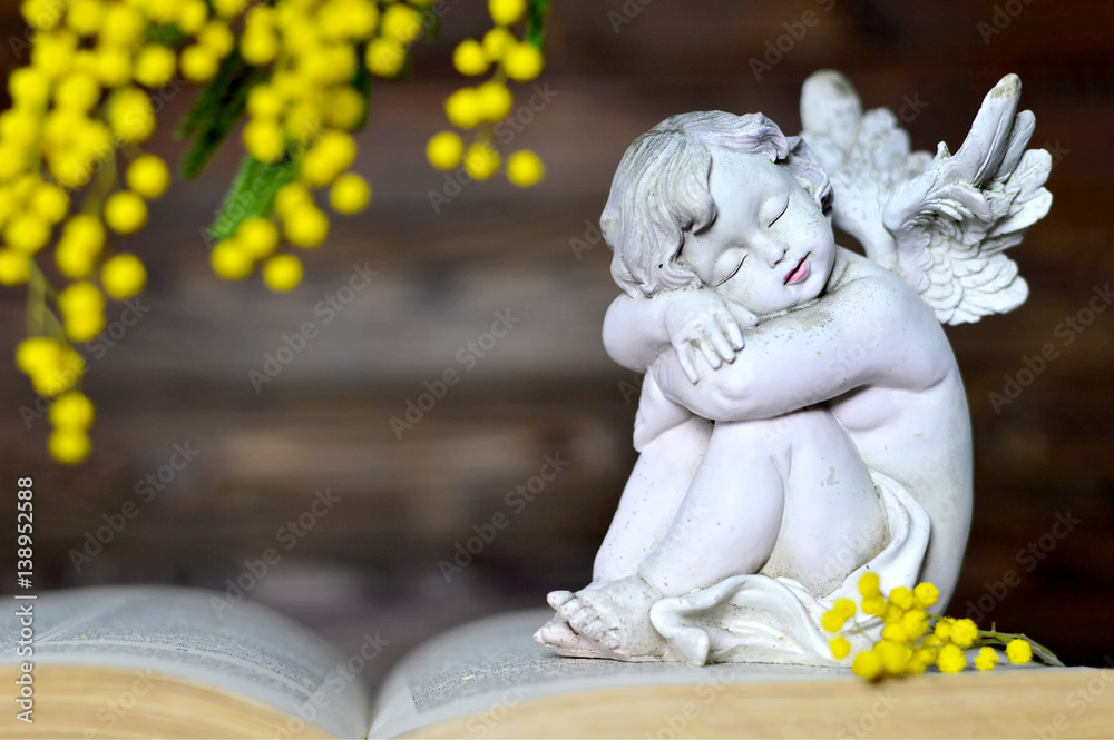 Fototapeta premium Angel and mimosa flower