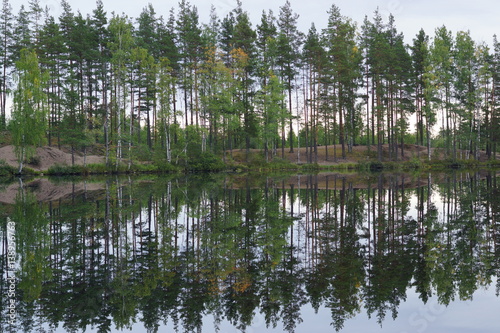 Perfect reflection of trees in the water on the other side of the forest lake, calm
