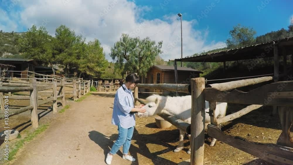 Small attractive brunette girl smiles and walks in horse farm at sunny spring day with her photo camera on neck, and strokes horses behind wooden fence Small attractive brunette girl smiles and walks in horse farm at sunny spring day with her photo camera on neck, and strokes horses behind wooden fence