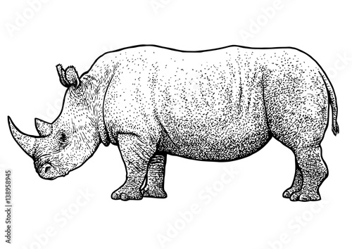 Rhinoceros illustration, drawing, engraving, ink, line art, vector