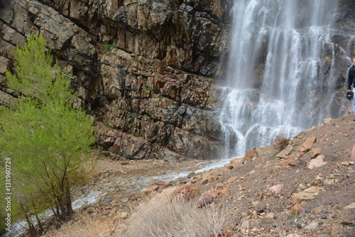 Waterfall and tree