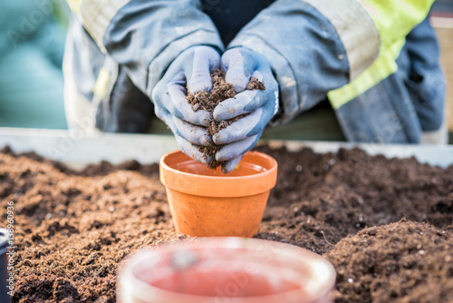 Main gantée déversant du terreau dans un pot de fleurs