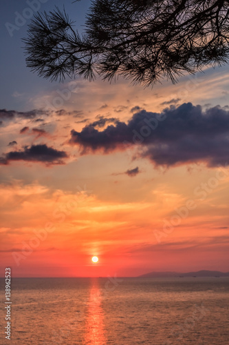 Beautiful scenic sea sunset landscape with pine tree branch and sun reflected from water surface at Black sea coast. Seaside scenery with clouds and sun track. Vertical view