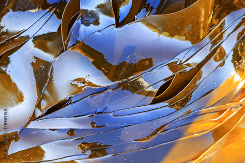 Kelp weight loss Laminaria