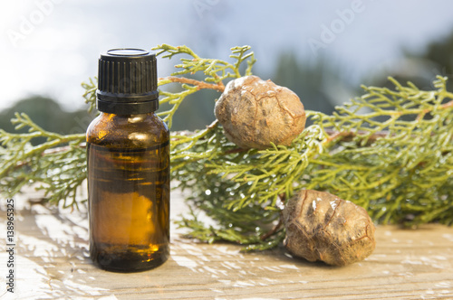Cypress oil bottle and plant (Cupressus sempervirens)