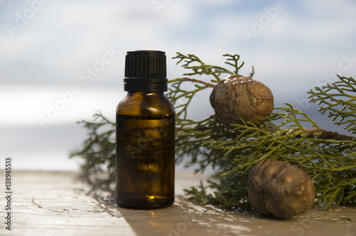 Cypress oil bottle and plant (Cupressus sempervirens)