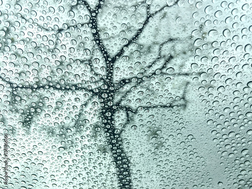 Raindrops on windshield with bare tree photo