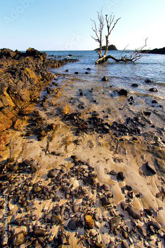 andilana   seaweed   indian ocean  mountain   sand isle  sky  rock photo