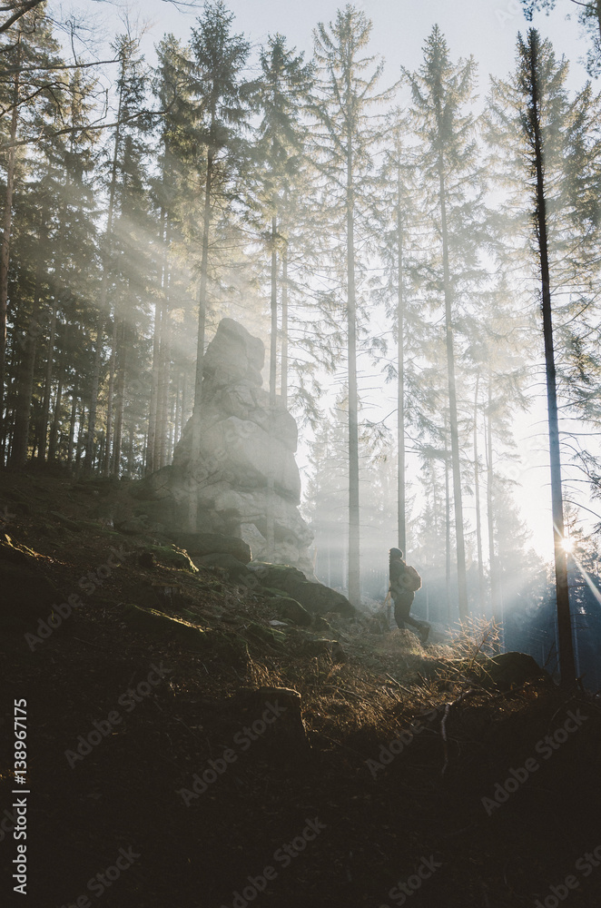 Obraz premium W promieniach słońca