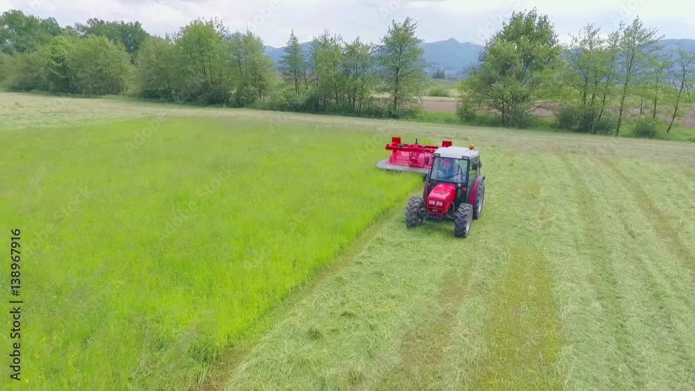 Beautiful green meadow is being cut. A big tractor is driving on the field and is cutting grass with agricultural machinery.
