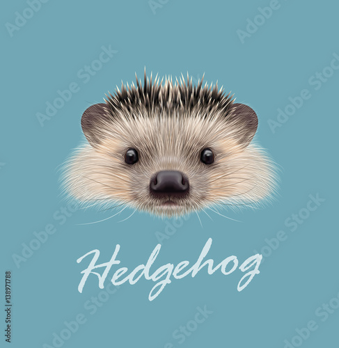 Vector Illustrated portrait of Hedgehog