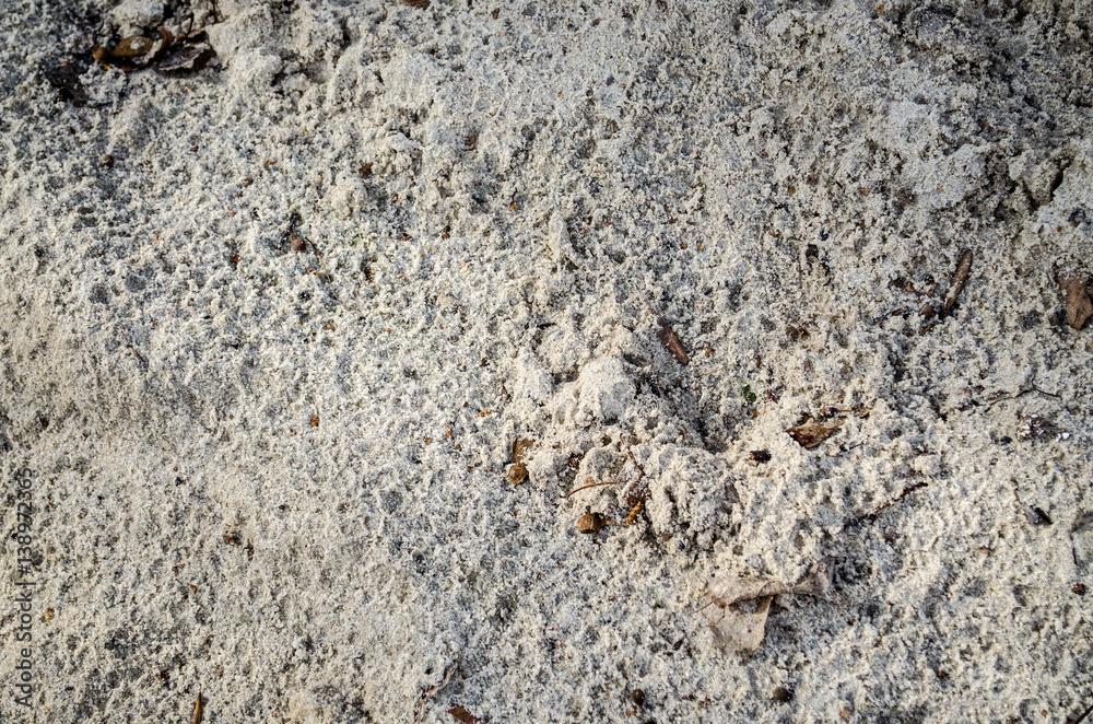 a mixture of sand and soil a mixture of sand and soil