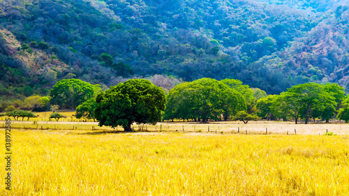 An example of cultural landscape in Costa Rica (Guanacaste region).
