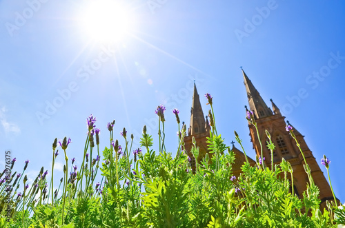 Canvas Print View of the flowers and St Mary's Cathedral in Hyde Park, Sydney.