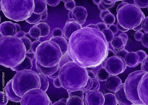 3d rendering sphere bacteria cells closeup