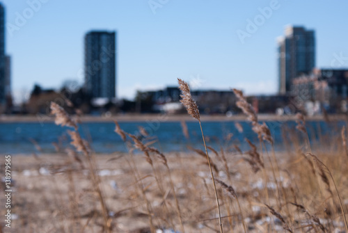 Skyline vom Strand aus gesehen