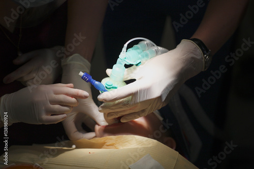 Manipulation of a dentist in the treatment of a patient photo