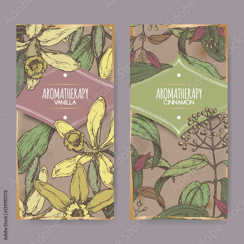 Two labels with Vanilla, Cinnamon color sketch on vintage background.